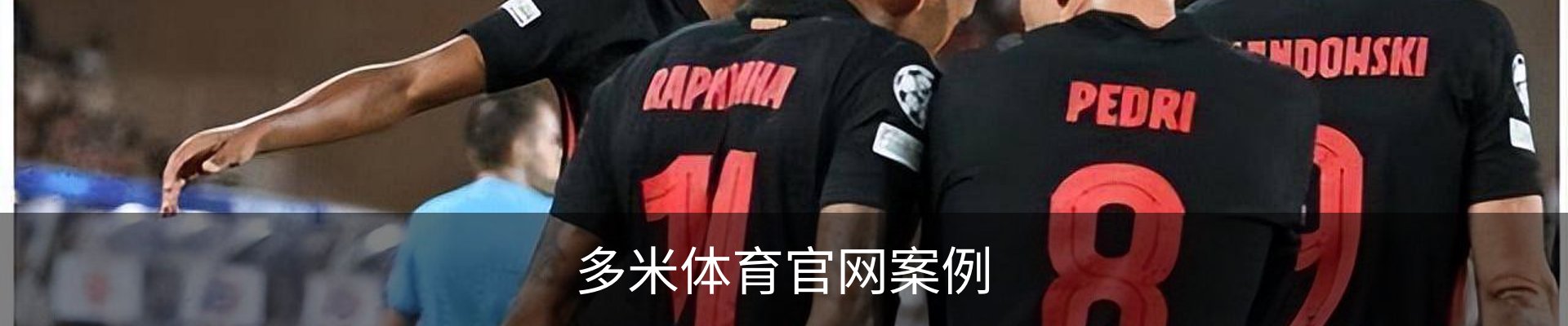 多米体育官网案例